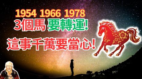 1978屬|【1978年 生肖】1978年生肖運勢搶先看！45歲屬馬者必讀！